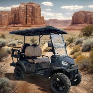 Hot Selling 4x4 New Cheap Golf Cart 