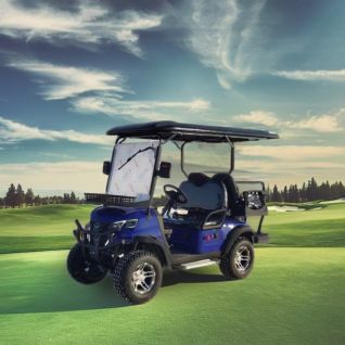 FX100D 2+2 Seater Electric Golf Cart 