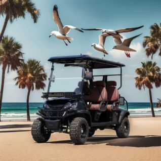 4 Seater Club Car Golf Cart Dealers Near Me FX200ZXK 