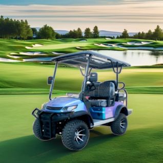 FX-200XXK Best Electric Club Car Golf Cart 