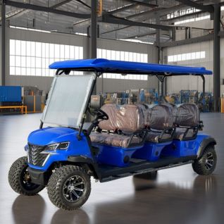 6 Passenger New Custom Golf Cart 