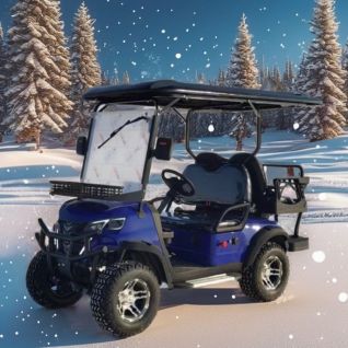 4 Seater Small Off Road Golf Cart