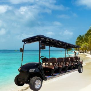 12 Seater Electric Golf Cart