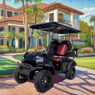 Hot Sale 4 Passenger Golf Cart 