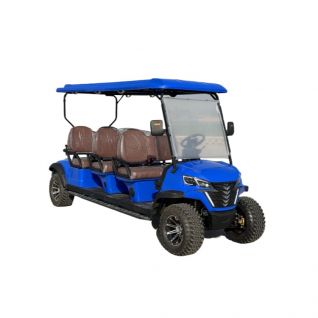 6 Passenger Electric Golf Cart