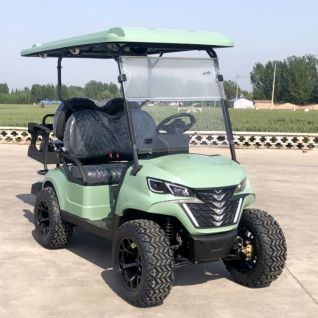 Hot Sale 2 Seater Electric Golf Cart